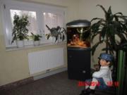 Treppenhaus mit Aquarium