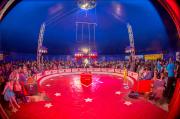 8_Zirkus_B_dorf