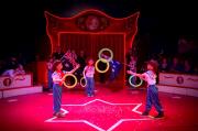 31_Zirkus_B_dorf