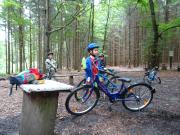 mit dem Mountainbike quer durch den Abtwald