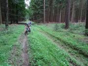 mit dem Mountainbike quer durch den Abtwald