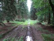 mit dem Mountainbike quer durch den Abtwald