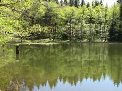 Buschmühlenteich Buschmühlenteich