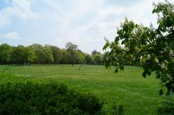 Küchwald Chemnitz, Festwiese