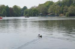 Schlossteich Chenitz