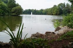 Schlossteich des Schlosses Wildenfels