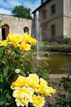 Schloss Wildenfels, Brunnen im Schlossgarten
