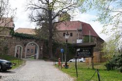 Blick zur Burg Schönfels