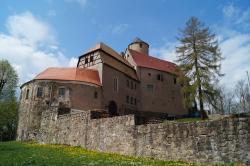 Blick zur Burg Schönfels