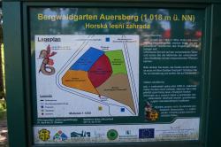 "Bergwaldgarten" am Aussichtsturm Auersberg