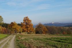 Blick zur Augustusburg