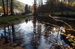 Teich im Sternmühlental
