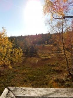 Blick vom Aussichtsturm