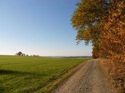 Wanderweg zum Hochmoor