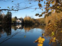 Eckhardt-Teich in Burkhardtsdorf